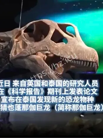 泰国发现那伽巨龙